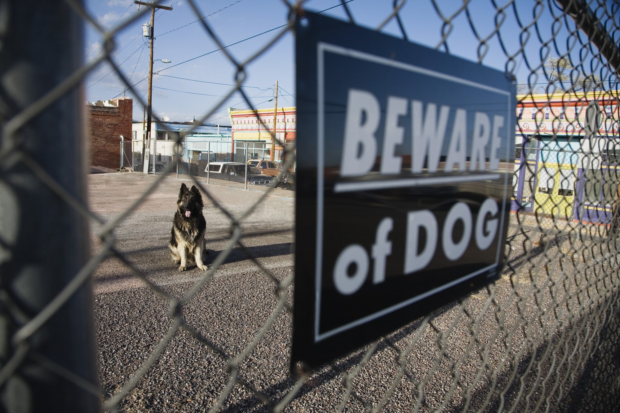 dog bite lawyer St. Louis, MO