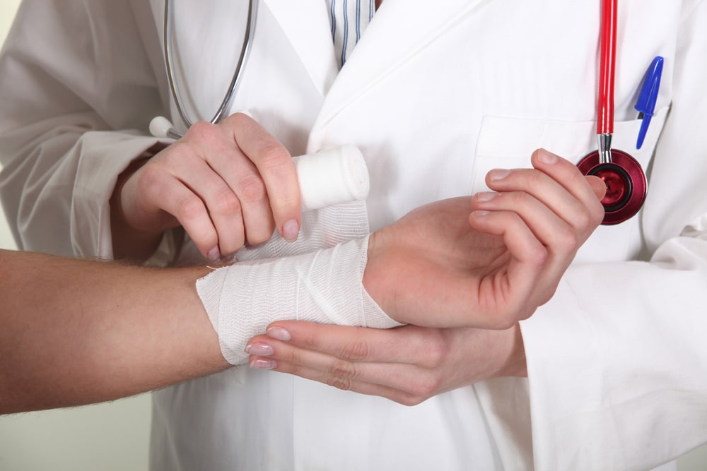 Understanding Dog Bite Cases